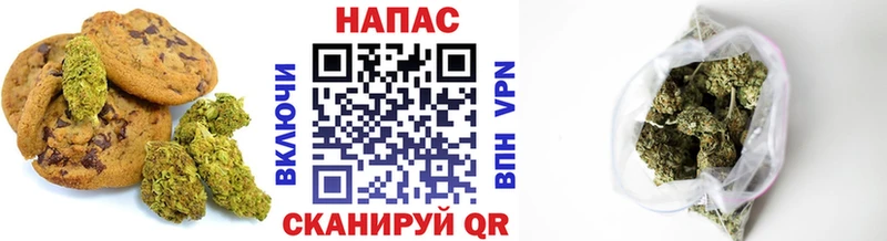 блэк спрут ТОР  купить наркоту  Королёв  Cannafood конопля 