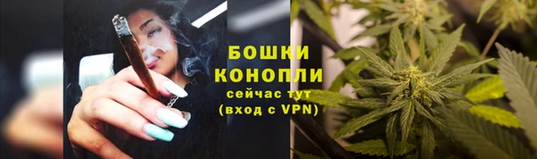 метадон Белокуриха