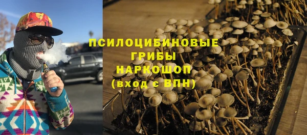 метадон Белокуриха